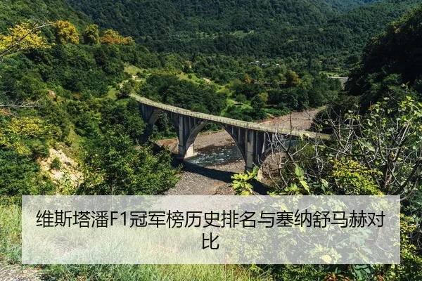 wei-si-ta-pan-guan-jun-bang-li-shi-pai-ming-yu-sai-na-shu-ma-he-dui-bi-2-243.jpg