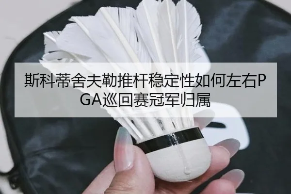 si-ke-di-she-fu-lei-tui-gan-wen-ding-xing-ru-he-zuo-you-xun-hui-sai-guan-jun-gui-shu-2-123.jpg