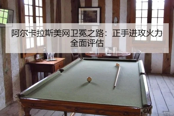 a-er-ka-la-si-mei-wang-wei-mian-zhi-lu-zheng-shou-jin-gong-huo-li-quan-mian-ping-gu-2-698.jpg