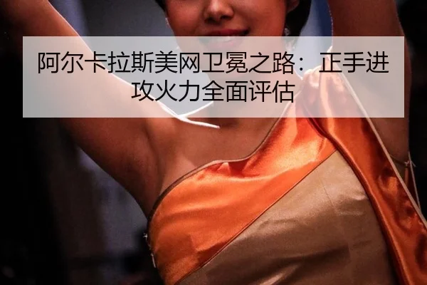 a-er-ka-la-si-mei-wang-wei-mian-zhi-lu-zheng-shou-jin-gong-huo-li-quan-mian-ping-gu-3-749.jpg