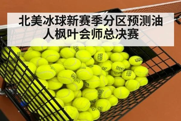 北美冰球新赛季分区预测油人枫叶会师总决赛